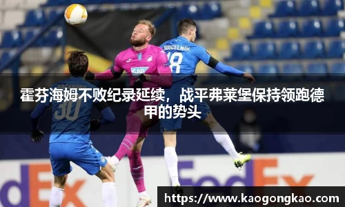 霍芬海姆不败纪录延续，战平弗莱堡保持领跑德甲的势头